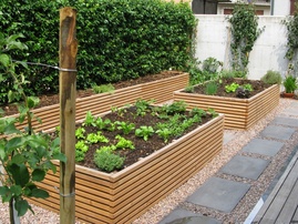 Kitchen garden 1